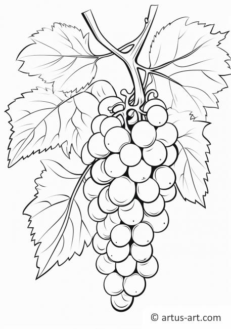 Página para colorir com contorno de uvas